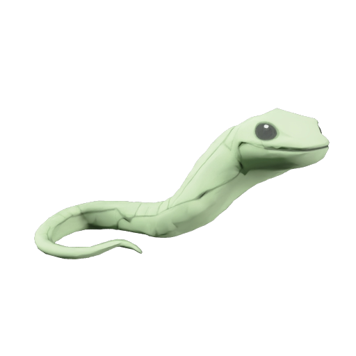 Eel