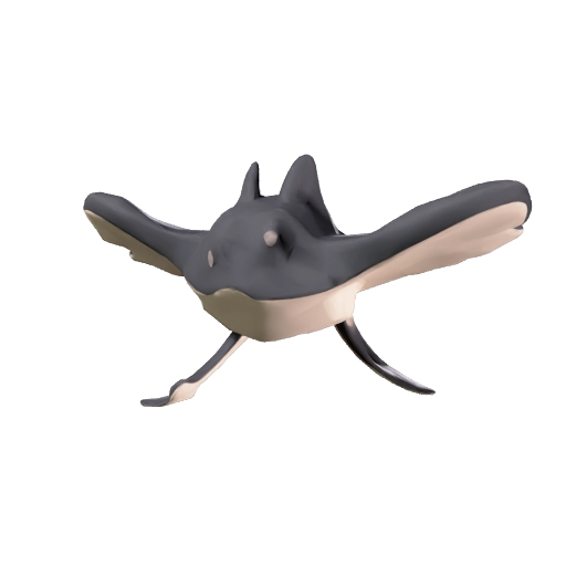 Manta / Sting / Pungi Ray
