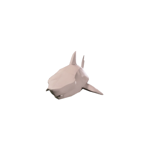 Shark